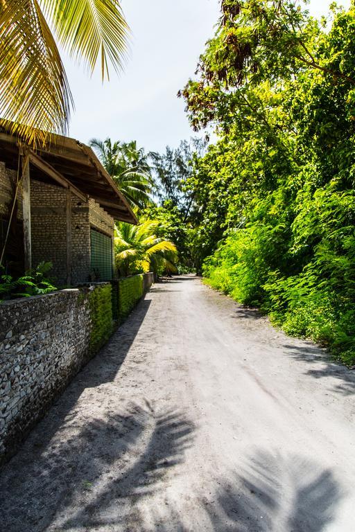 Villa Rosa Maldives Feridhoo Εξωτερικό φωτογραφία