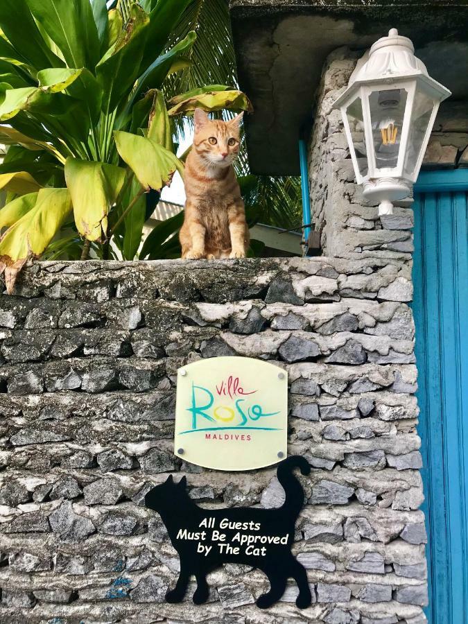 Villa Rosa Maldives Feridhoo Εξωτερικό φωτογραφία
